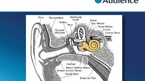 Cell Phone Noise Reduction Based on the Human Hearing System