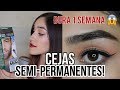 CEJAS SEMIPERMANENTES! CON TINTE