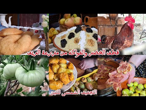 الحياة في الريف الجزائري سفنج تقليدي للفطور ومسفوف بالزبيب واللبن جني التين وتجفيفه للشتاء الحياة في الريف الجزائري سفنج تقليدي للفطور ومسفوف بالزبيب واللبن جني التين وتجفيفه للشتاء