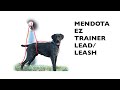 Mendota ez trainer leadleash