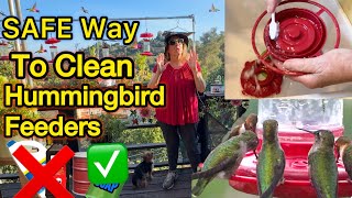 How to Clean a Hummingbird Feeder *Leaking Warning TIP Attract Hummingbirds w/Homemade Nectar Recipe