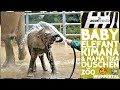 Zoo Wuppertal: Elefanten-BABY & Mama beim Waschen 🐘 | zoos.media