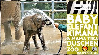 Wuppertal Zoo: BABY elephant & mom have a shower 🐘 | zoos.media