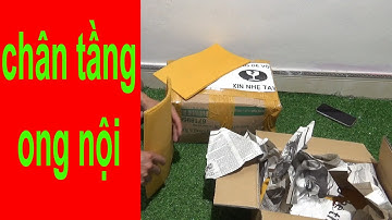 chân tầng ong nội (các bác lưu ý một số nơi không phải sp của ong việt )