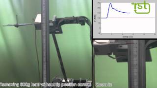 TUDOR tip position control with Neural Networks