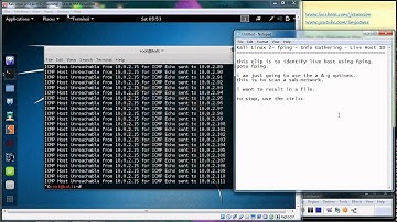 Kali Linux - fping - Infomation Gathering- Live Host Identification