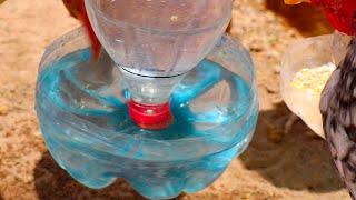 How to make a waterer and feeder for Creole chickens using plastic bottles.