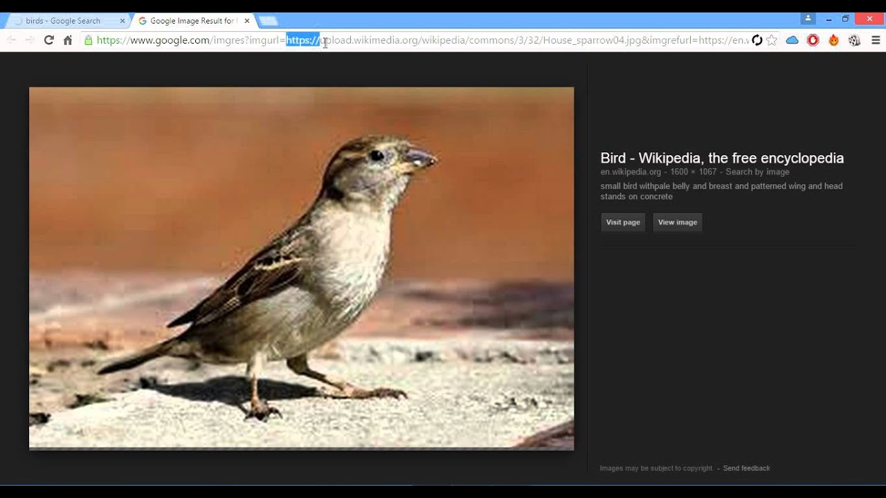 Download XSS vulnerability in Google Image Search
