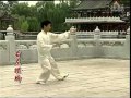 ４２式総合太極拳⑥：右左蹬脚、掩手肱捶、野馬分鬣