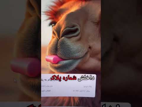 عجب چیزیه ماشین ماشینباز شوتی ۴۰۵ پارس زانتیا سرعت تصادف سایت شترك ترند سورن  5