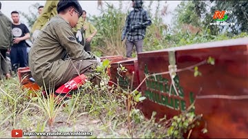 Tái thả thành công 15 cá thể tê tê Java về lại tự nhiên