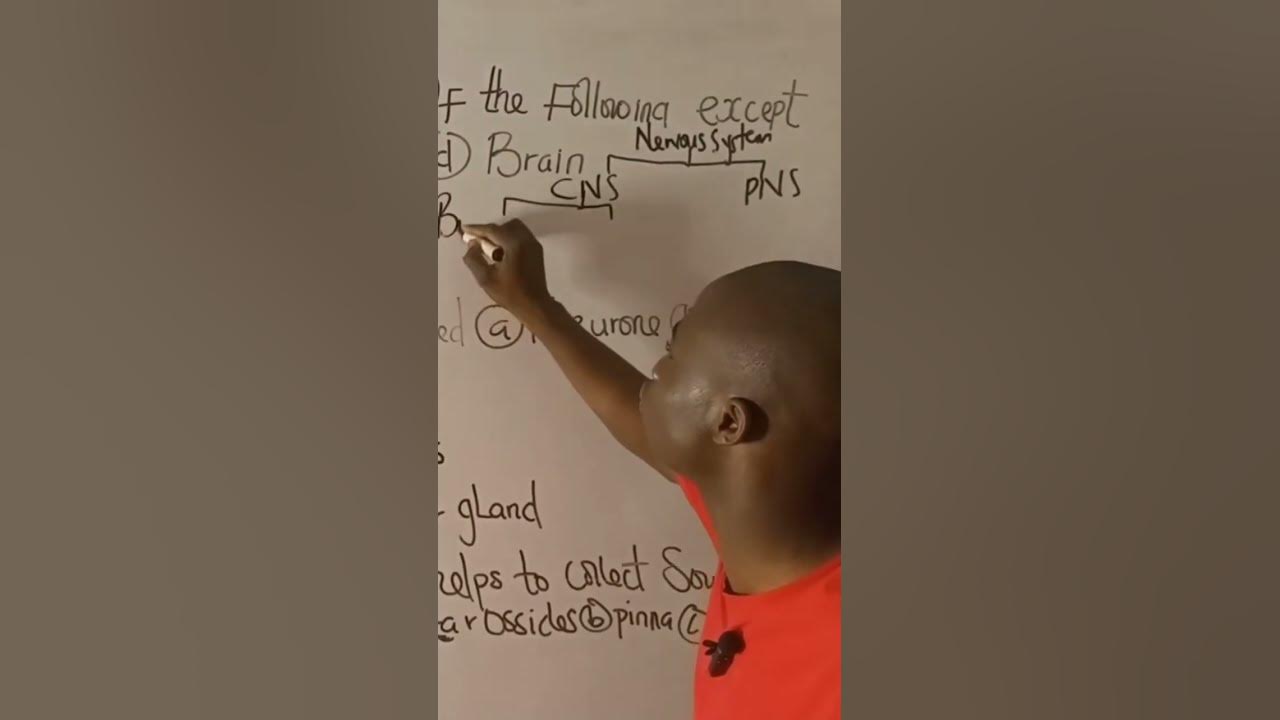 Post UTME Biology Question biology waec biologyrevision 