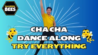 TRY EVERYTHING Shakira Zootopia | High Energy Dance Along | Ballroom Bees