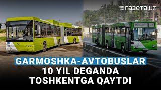 «Avvalgisiga qaraganda yaxshi». Garmoshka-avtobuslar 10 yil deganda Toshkentga qaytdi