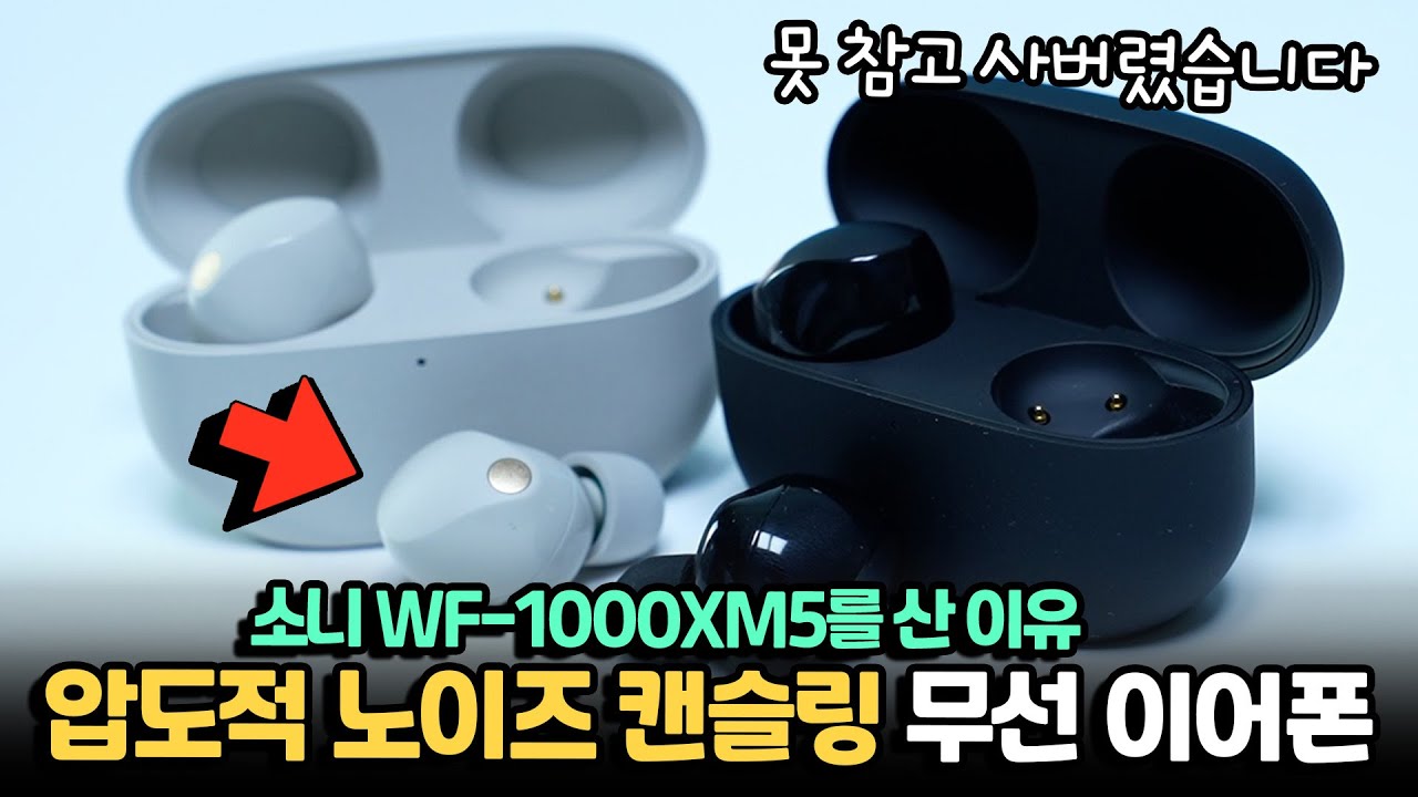 이거 성능 왜 이래요? 압도적 노캔 미쳤고..크기 미쳤고..신제품 소니 WF-1000XM5를 사용해보고 구매한 이유