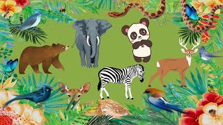 CUTE LITTLE ANIMALS / Butterfly, Elephant, Zebra, Bear, Panda / FUNNY ANIMAL MOMENTS