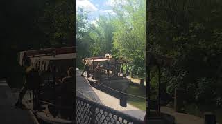 The Line Que for Disneys Jungle Cruise at Disney's Magic Kingdom#disney#jungleadventure#disneyshorts