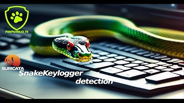 [pawpatrules.fr] SnakeKeylogger multiple detection methods with Suricata IDS/NSM