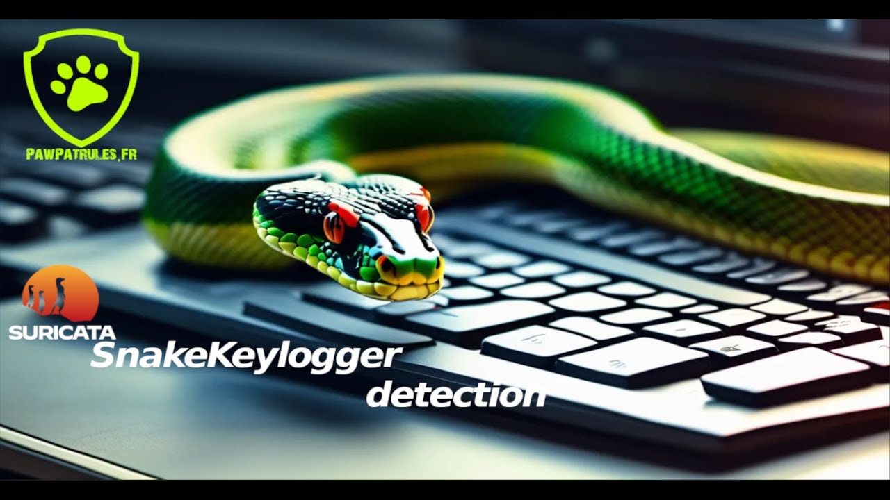 [pawpatrules.fr] SnakeKeylogger multiple detection methods with Suricata IDS/NSM