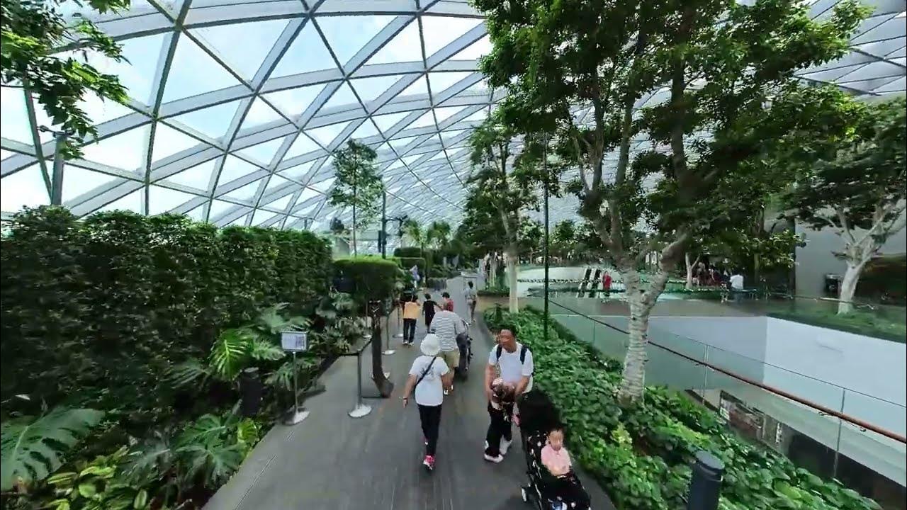 JEWEL Changi Airport Christmas Tree 2023 and Walking Tour YouTube