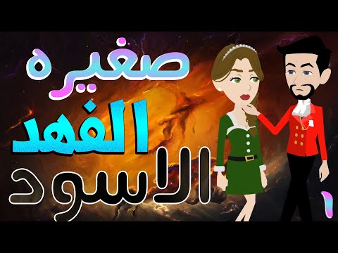 بث مباشر الآن قصة صغيرة الفهد الأسود
