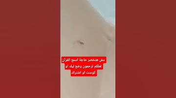 قرأن كريم ابداع لايوصف ولاينقطع من الشيخ سيد سعيد سورة آل عمران #راحة_نفسية #shors