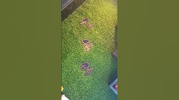 Sensation.....Jaise Sarsarahat