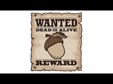 Yankee's 'MURUCA! Guns & Freedom Podcast!