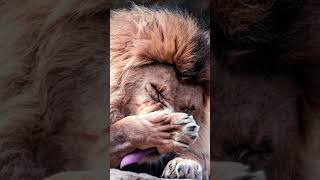 Best wallpapers for you #music #wallpaper