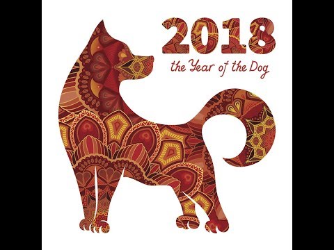 Hi Volt 活出自己 快乐Whoopee 2018