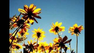 Colbie Caillat - Here comes the sun.wmv chords