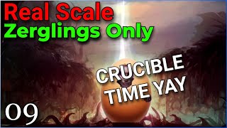 Real-Scale Zerglings Only! - THE CRUCIBLE - pt.9