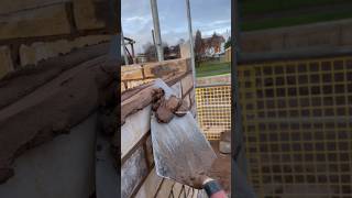 Asmr - Bricklaying