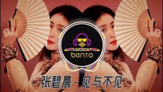 见与不见 - [ BENTO REMIX 2024 ]