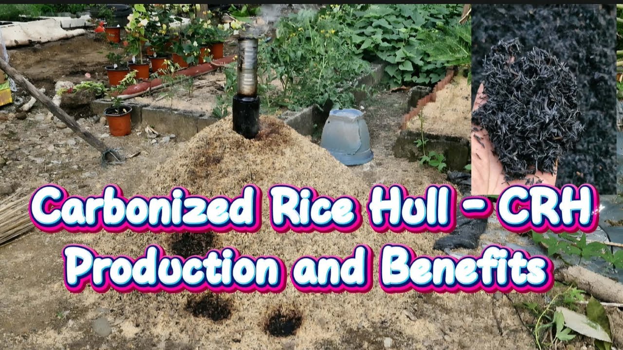 Compose Rice Hull How to make Carbonized Rice Hull (CRH) The Best, Fast and Easy -DIY ...