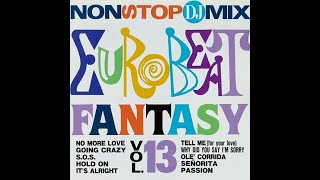 ノンストップDJミックス ユーロビートファンタジーVol.13 ノンストップDJミックス・ユーロビート・ファンタジーVol.13