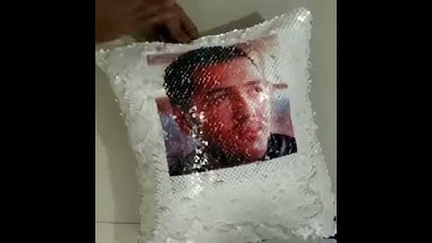 Sequin Pillows with Reversible Pictures