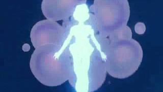 Sailor Mercury  Venus Group Transformation