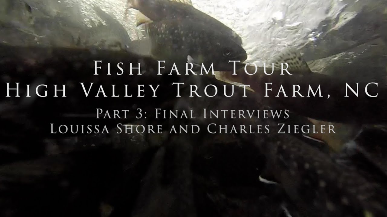 Fish Farm Tour High Valley Trout Farm, NC Part 3 Final Interviews