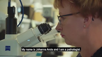 Deep Learning AI - Liver diseases