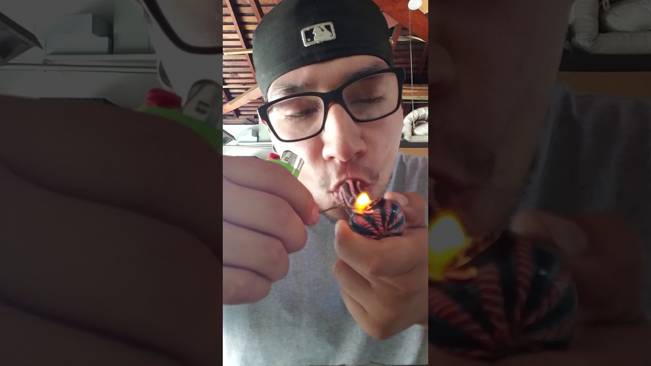 🍇Berry Punch💥 Stain Review By Greenfer Collective