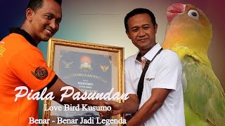 PIALA PASUNDAN : Kusumo Di Nobatkan Sebagai Love Bird Legendaris