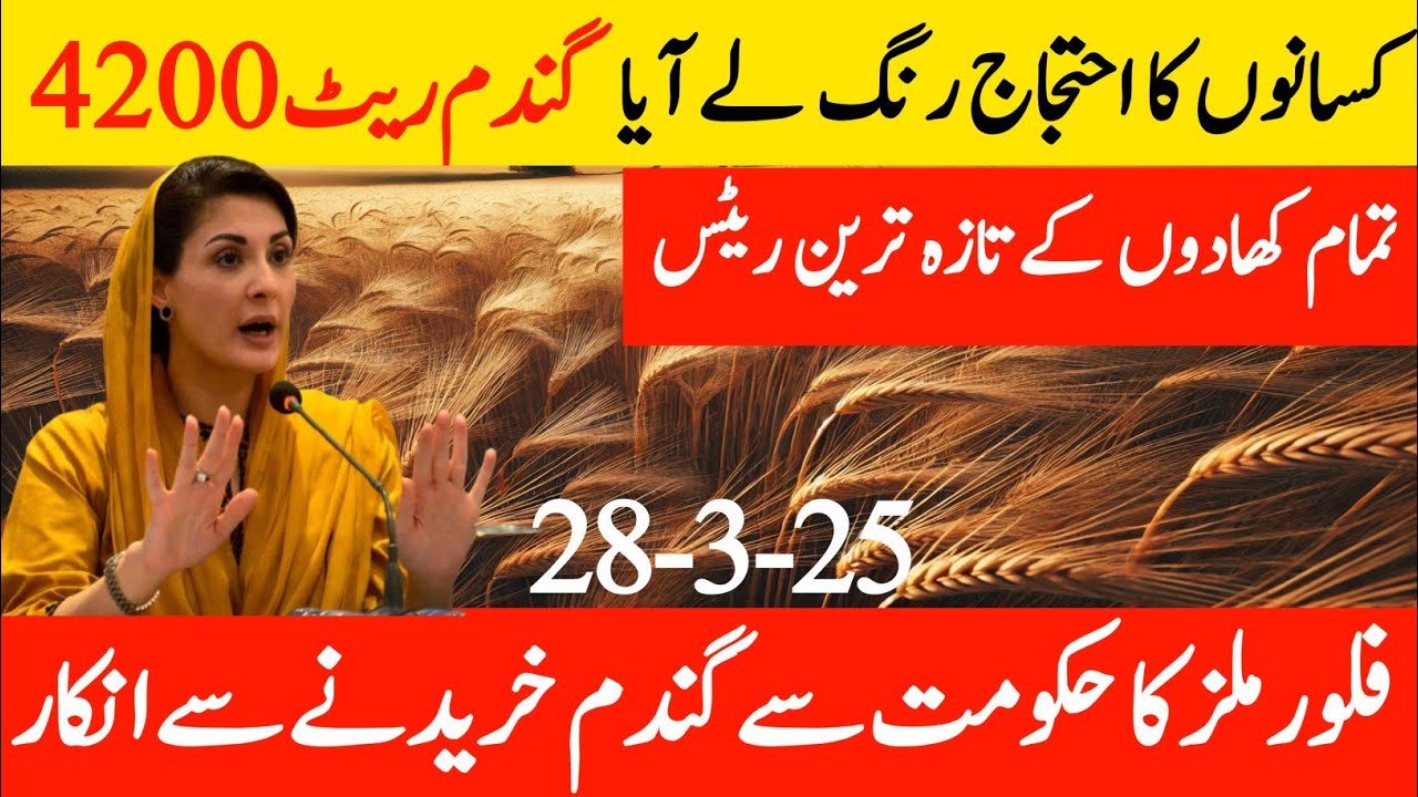 New gandam rate 2025 ll wheat support price in Punjabll گندم کی امدادی ...