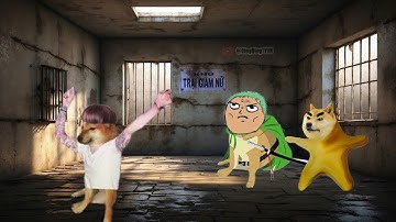 Nhạc chế Ding Ding TV: Cường vừa sinh ra người ta đã gọi là cu Cường