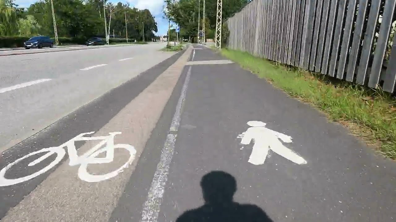 Summer Cycling in Denmark 🇩🇰 | Bike Path Ride with Other Cyclists. 60 minute bike ride.