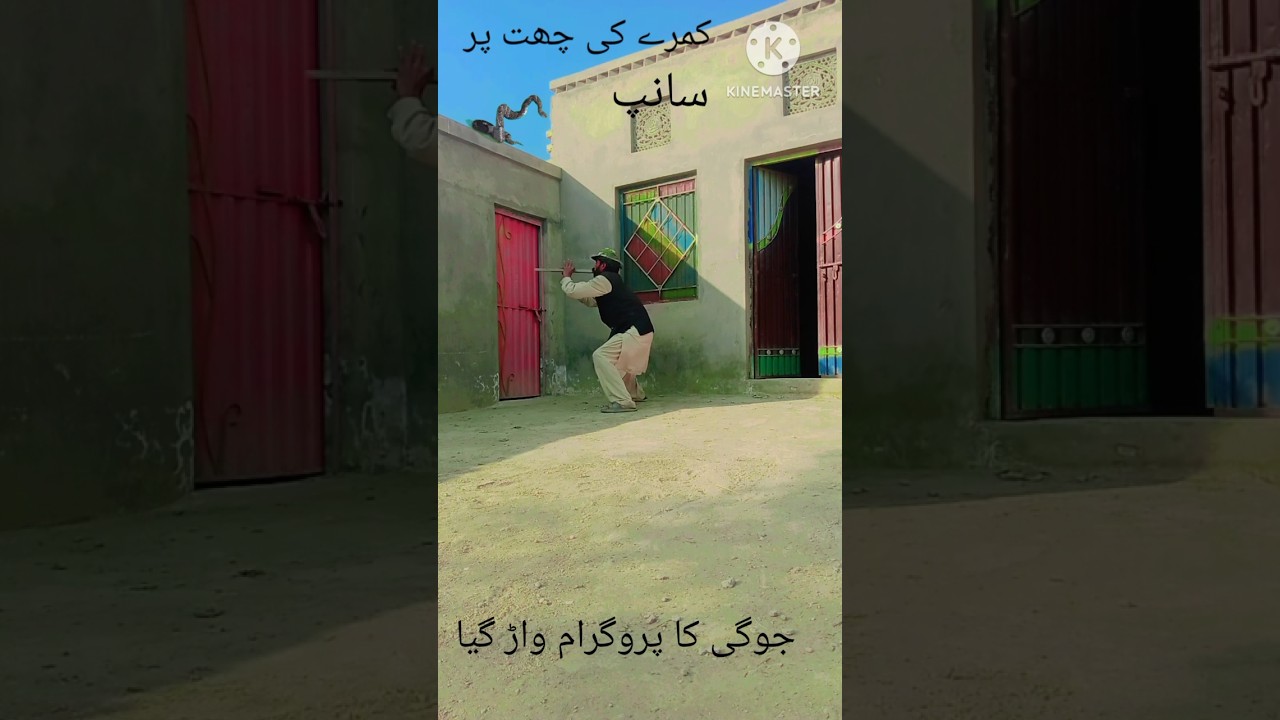 dewar pr sap jogi heran 😮🤣 