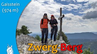 Der Zwerg-Berg - Gaisstein im Sommer - schönster Nicht-Tausender in Niederösterreich