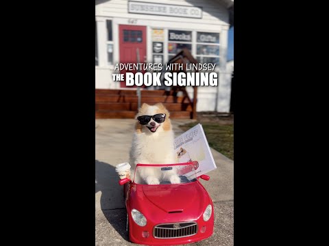 Koda The Fluff S Book Signing Sunshine Book Co