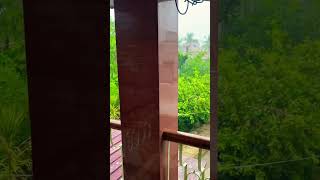 #shortvideo #youtubeshorts #rainyday ☂️🌨⛈