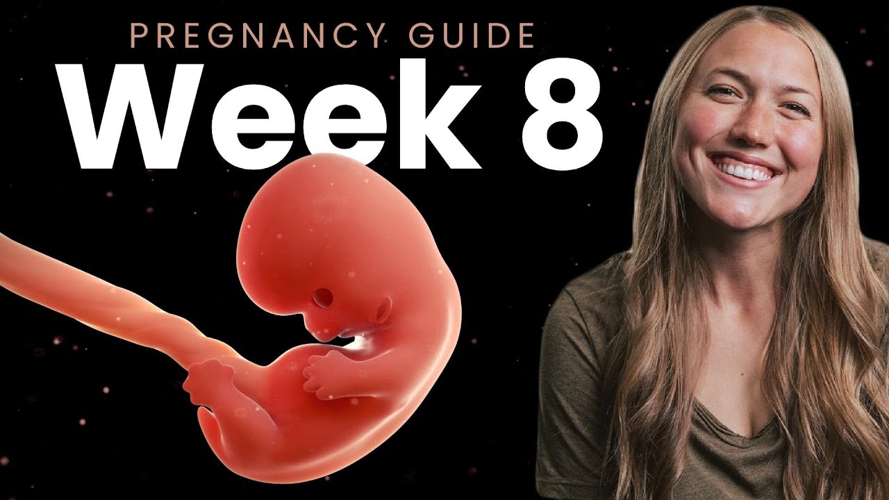 8 Weeks Pregnant | Week By Week Pregnancy - YouTube